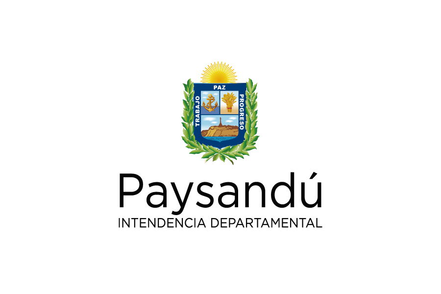 logo idp 001