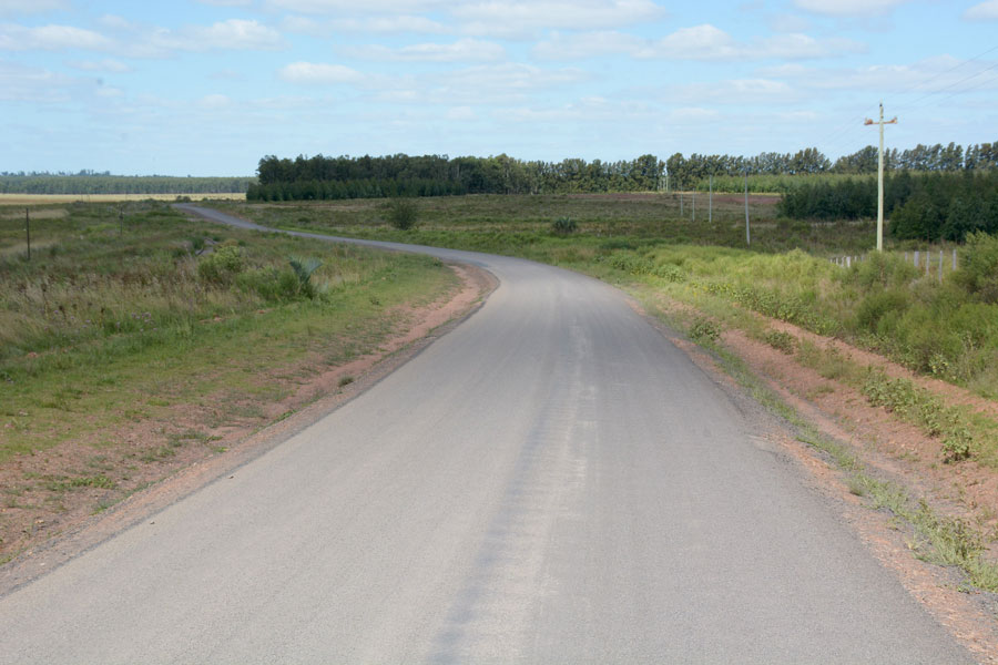 camino pinera1